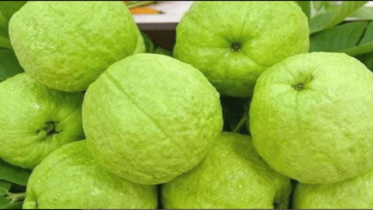 ডায়াবেটিস রোগীদের জন্য পেয়ারা