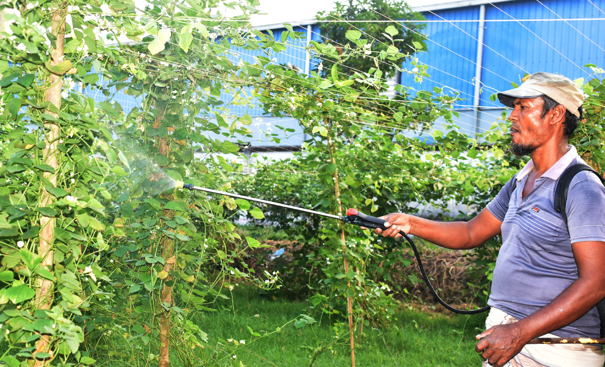 দিনের ছবি (২১ অক্টোবর, ২০২৫)